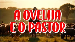 A OVELHA E O PASTOR [upl. by Narf]