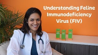 Understanding Feline Immunodeficiency Virus FIV [upl. by Lashar]