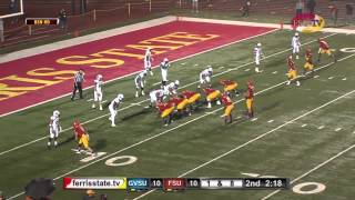 Jason Vander Laan Ferris State Football Quarterback Highlights 2013 [upl. by Leval975]