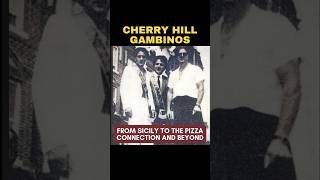 CHERRY HILL GAMBINOS  HOW THESE DISTANT RELATIVES OF CARLO GAMBINO MADE MILLIONS FOR THE FAMILY [upl. by Barhos]