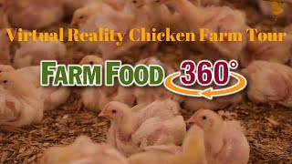 FarmFood360° Virtual Reality Chicken Farm Tour [upl. by Anekahs]