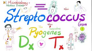 Streptococcus Pyogenes Diagnosis and Treatment  Microbiology 🧫 amp Infectious Diseases 🦠 [upl. by Howlend]