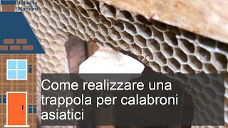 Come si costruisce una trappola per calabroni efficace [upl. by Enitsirhk123]