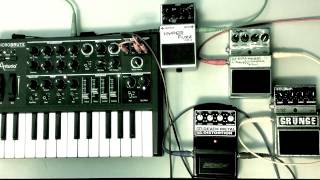 More Distortion Arturia Micro Brute thru 4 Distortion Pedals [upl. by Hirst]