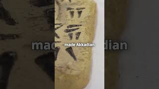 How the Akkadian Empire Changed History foryou history empire facts fypシ゚viral [upl. by Aydne828]