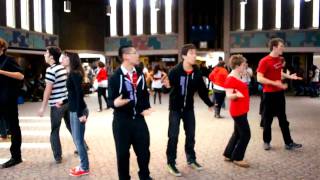 Born This Way Lady Gaga  The Unaccompanied Minors University of Waterloo Flash Mob [upl. by Ocihc]