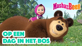 Masha en de Beer 🐻👧 Op een dag in het bos👀🌳Aflevering collectie 🎬 [upl. by Lord389]