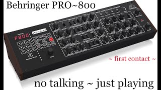 Behringer PRO800  no talking  just playing [upl. by Lalo216]