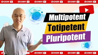 What are the differences between multipotent totipotent and pluripotent cells [upl. by Ytram]