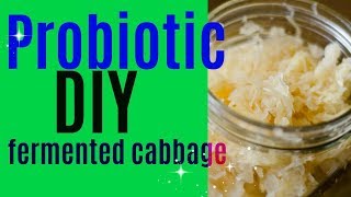 DIY Probiotic  Fermented CabbageFull of Beneficial Bacteria [upl. by Yeliac208]