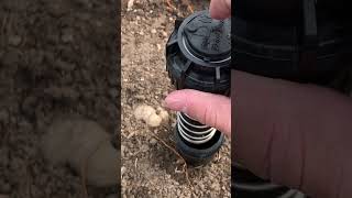 How to adjust a rainbird 5000 sprinkler head sprinkler sprinklers sprinklersystem rainbird [upl. by Divaj]