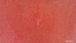 Shagreen Indian Red 9 Inch [upl. by Asirrac]