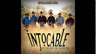 Grupo Intocable  El Perdedor EPICENTER BASS BOOST 2014 [upl. by Notle]