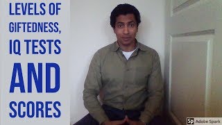 What Are the Levels of Giftedness  Intellectual Giftedness 15 [upl. by Rudelson349]