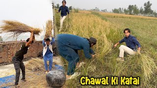 Aj Khat Ma Both Kaam Kiya Or Chawal Ki Katai Kr Li Alhamdulillah [upl. by Favrot745]