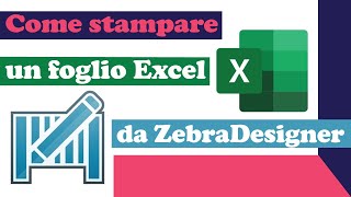 Come stampare un foglio Excel da ZebraDesigner [upl. by Anaigroeg]