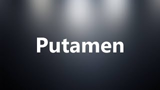 Putamen  Medical Definition and Pronunciation [upl. by Tonneson476]