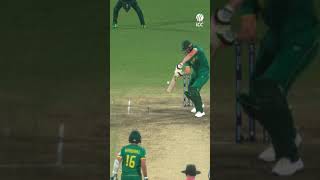 Shaheen Afridi in full flight 🔥 cricket ytshorts cricketshorts [upl. by Notneiuq]