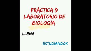 Práctica 9 Laboratorio de Biología llena [upl. by Kaehpos]