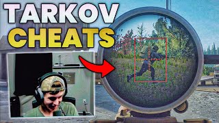 Tarkov Has A Serious Cheating Problem [upl. by Hamburger]