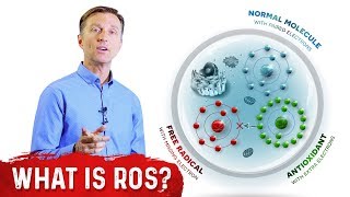 What Are Reactive Oxygen Species ROS  Dr Berg [upl. by Claudia]