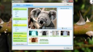 Como usar o ManyCam  TUTORIAL [upl. by Innig]