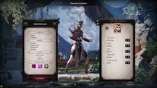 Divinity Original Sin 2 Shadowblade or Rogue Character Creation [upl. by Delly951]