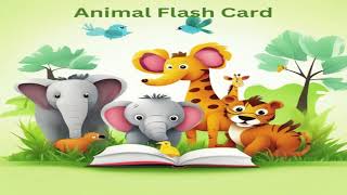 Animal Flash Cards for Toddlers and Preschoolers Easy Way to Learn amp Enhance English Vocabulary [upl. by Irneh515]