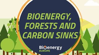 Bioenergy forests and carbon sinks  Bioenergy explained [upl. by Anailuj]