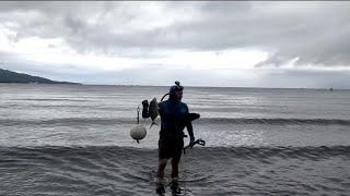 Spearfishing at Himbangan Area EP2 ll Golden Trevally [upl. by Grishilde]