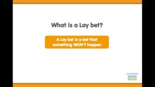 Matched Betting What are Lay Bets and Liability How do I place a Lay Bet [upl. by Irallih]