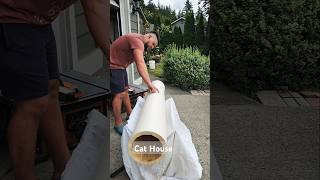 Building CAT house 🐈 shorts cathouse cat usa cats [upl. by Ponce]