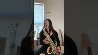 Mini sax cover of “Too Sweet” by Hozier music artist hozier trend toosweet saxophone [upl. by Airtina]