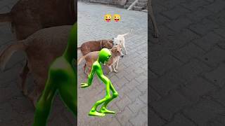 trandingsitadance🤭🤭 shorts youtubeshorts dog ytshorts [upl. by Tayler333]