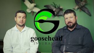 Goosehead Insurance  The Sacchieri Agency [upl. by Tedi]