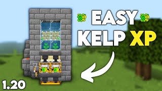 EASY KELP XP Farm 1201 Minecraft Bedrock WindowsMCPEPS5XboxSwitch [upl. by Lairea]