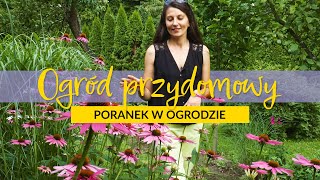 🌱Ogród przydomowy 🌞  Poranek w ogrodzie odc 7 [upl. by Htiaf]