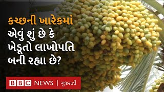 Kutch  400 વર્ષ જૂની કચ્છી ખારેકને મળ્યો GI tag ખેડૂતોને શું થશે ફાયદો [upl. by Henderson178]