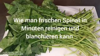 Reinigen und blanchieren von frischen Spinat einfach amp schnell in wenigen Minuten grün amp gesund [upl. by Trin]