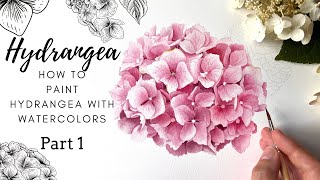 How To Paint Hydrangea with Watercolors 💗 Part 1 💗 Realistic Hydrangea 💗 Pink Flower Art [upl. by Malo650]