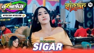 ARSEKA MUSIC • SIGAR  NONIK APRILIA • BG AUDIO • JMS HD [upl. by Asor]