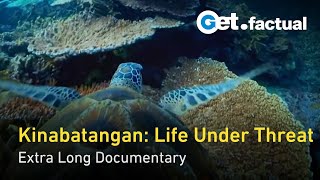 Kinabatangan River of Life and Loss  Extra Long Documentary [upl. by Aillimac498]