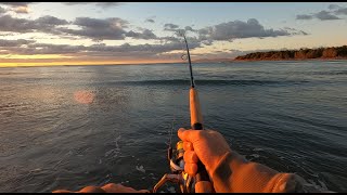 Spin Fishing for Kahawai at the Waimakariri River  Autumn 2024 [upl. by Nilorac]