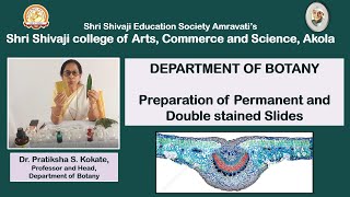 Preparation of Permanent and Double stained slide of Nerium leaf Angiosperm Anatomy BSc Sem III [upl. by Kaule]