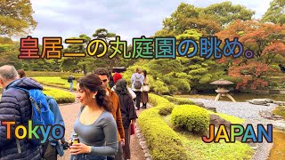 4K Imperial Palace NinoMaru Garden Inside View  Walk in Imperial Palace Garden Tokyo Japan [upl. by Harriet]