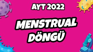 AYT Biyoloji  Menstrual Döngü  AYT Biyoloji 2022 hedefekoş [upl. by Anitnelav]