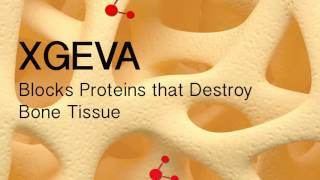 How Xgeva  Denosumab  Treats Bone Metastases [upl. by Natal]