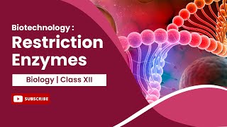 Restriction Enzymes  Biotechnology  Principles and Processes  Biology  Class 12 [upl. by Darcie279]