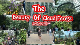 Your next bucketlist  cloud forest Singapore  foryou fyp youtube travel singapore viral fy [upl. by Yerac]