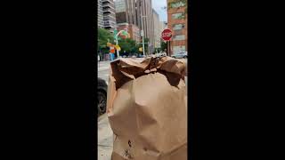 NYC Bagel Hunt Did I Find the Best Breakfast food NYC SimpleLifeStories shorts [upl. by Eceinehs]